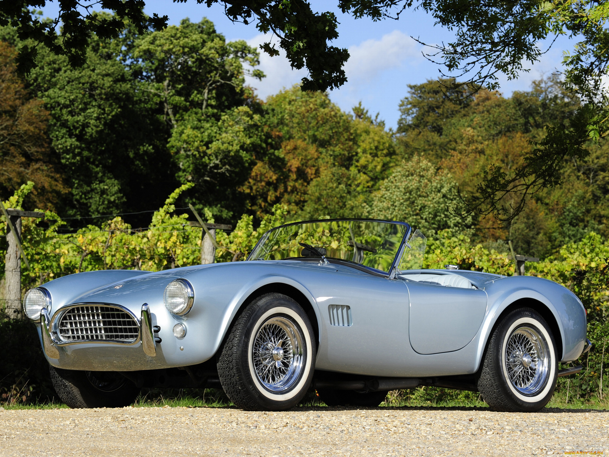 , ac, cobra, shelby